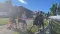 image12_2.jpeg